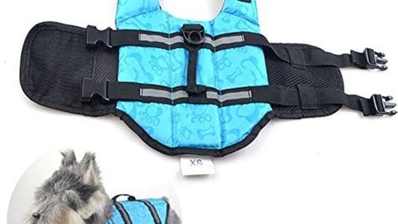 揭秘水冷螺杆冷水机：十大品牌背后的技术秘密